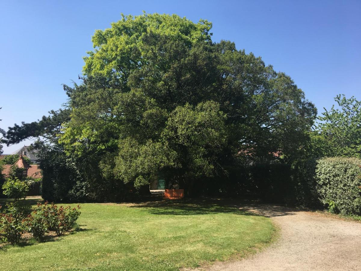 Le Chateau Des Tourelles En Vendee La Gaubretiere 외부 사진